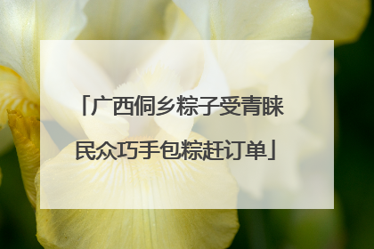广西侗乡粽子受青睐 民众巧手包粽赶订单