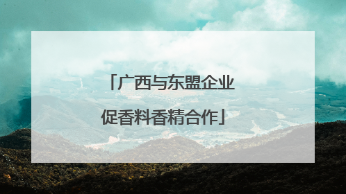 广西与东盟企业促香料香精合作