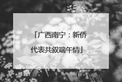 广西南宁：新侨代表共叙端午情