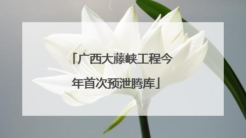 广西大藤峡工程今年首次预泄腾库