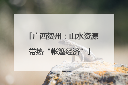 广西贺州：山水资源带热“帐篷经济”