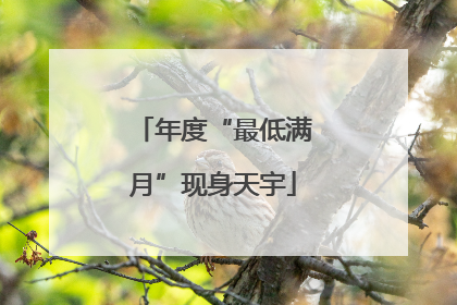 年度“最低满月”现身天宇