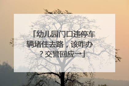 幼儿园门口违停车辆堵住去路，该咋办？交警回应→