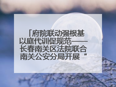 府院联动强根基 以庭代训促规范——长春南关区法院联合南关公安分局开展“以庭代训”