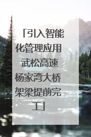 引入智能化管理应用 武松高速杨家湾大桥架梁提前完工