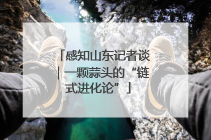 感知山东记者谈｜一颗蒜头的“链式进化论”