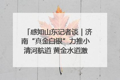 感知山东记者谈｜济南“真金白银”力推小清河航道 黄金水道激活区域经济新动能