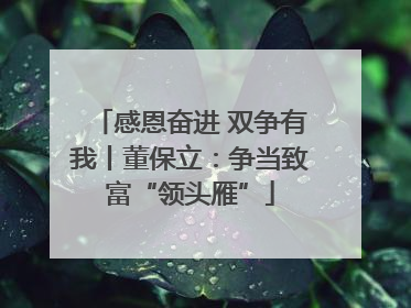 感恩奋进 双争有我丨董保立：争当致富“领头雁”