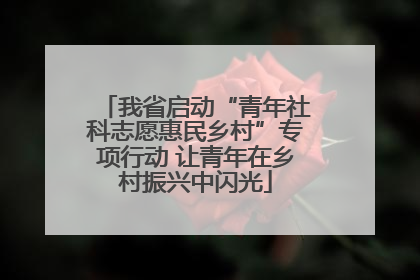 我省启动“青年社科志愿惠民乡村”专项行动 让青年在乡村振兴中闪光