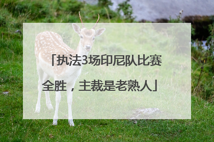 执法3场印尼队比赛全胜，主裁是老熟人