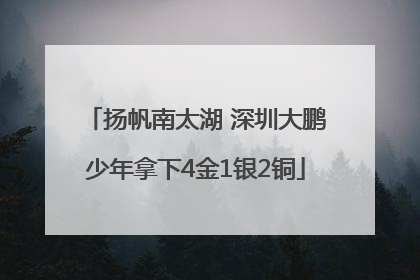 扬帆南太湖 深圳大鹏少年拿下4金1银2铜