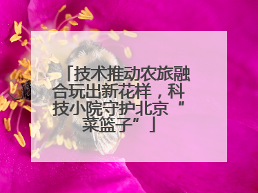 技术推动农旅融合玩出新花样，科技小院守护北京“菜篮子”