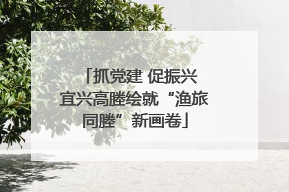 抓党建 促振兴 宜兴高塍绘就“渔旅同塍”新画卷