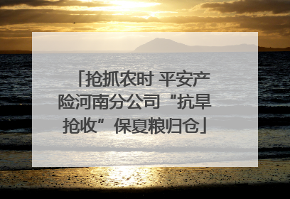 抢抓农时 平安产险河南分公司“抗旱抢收”保夏粮归仓