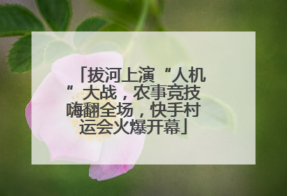 拔河上演“人机”大战，农事竞技嗨翻全场，快手村运会火爆开幕