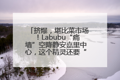 挤爆，堪比菜市场！Labubu“痛墙”空降静安嘉里中心，这个精灵还要“突袭”便利店？