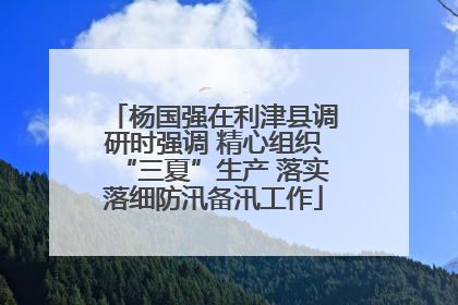 杨国强在利津县调研时强调 精心组织“三夏”生产 落实落细防汛备汛工作
