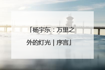 杨宇东：万里之外的灯光｜序言