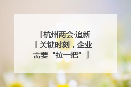 杭州两会·追新丨关键时刻，企业需要“拉一把”