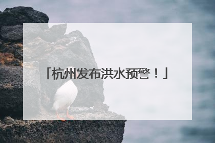 杭州发布洪水预警！