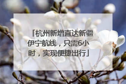 杭州新增直达新疆伊宁航线，只需6小时，实现便捷出行