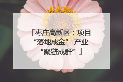 枣庄高新区：项目“落地成金” 产业“聚链成群”