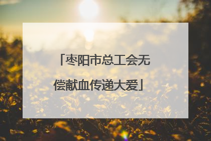 枣阳市总工会无偿献血传递大爱