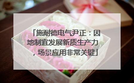 施耐德电气尹正：因地制宜发展新质生产力，场景应用非常关键