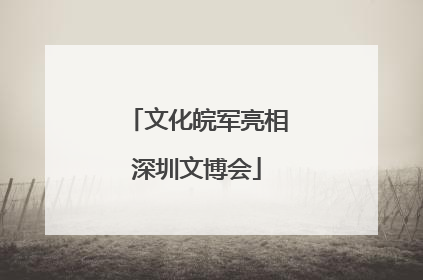 文化皖军亮相深圳文博会
