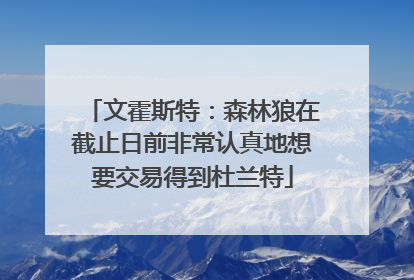 文霍斯特：森林狼在截止日前非常认真地想要交易得到杜兰特
