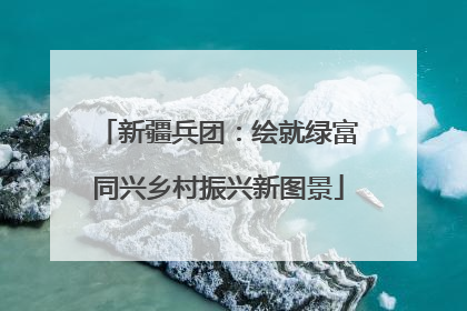 新疆兵团：绘就绿富同兴乡村振兴新图景