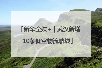 新华全媒+｜武汉新增10条低空物流航线