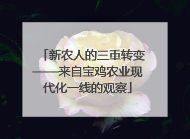 新农人的三重转变——来自宝鸡农业现代化一线的观察