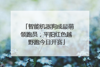 智能机器狗成最萌领跑员，平阳红色越野跑今日开赛