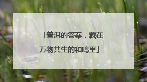 普洱的答案，藏在万物共生的和鸣里