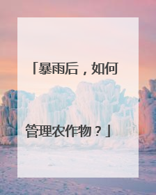 暴雨后，如何管理农作物？