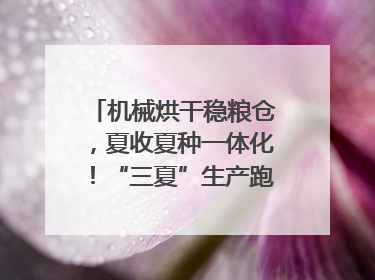 机械烘干稳粮仓，夏收夏种一体化！“三夏”生产跑出加速度｜麦报