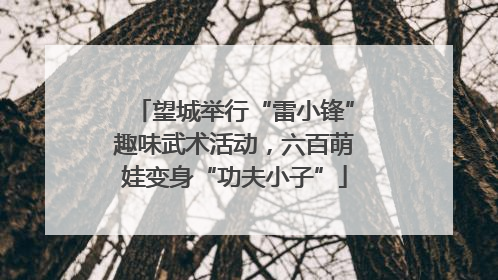 望城举行“雷小锋”趣味武术活动，六百萌娃变身“功夫小子”