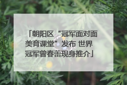 朝阳区“冠军面对面美育课堂”发布 世界冠军曾春蕾现身推介