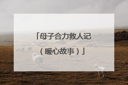母子合力救人记（暖心故事）