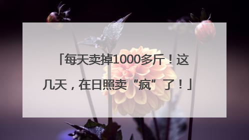 每天卖掉1000多斤！这几天，在日照卖“疯”了！