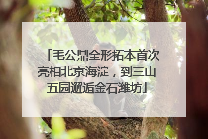 毛公鼎全形拓本首次亮相北京海淀，到三山五园邂逅金石潍坊
