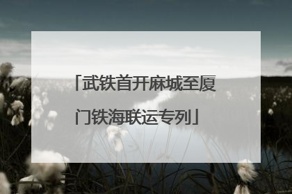 武铁首开麻城至厦门铁海联运专列