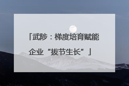 武陟：梯度培育赋能企业“拔节生长”