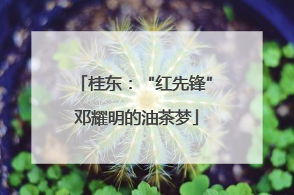 桂东：“红先锋”邓耀明的油茶梦