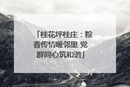 桂花坪桂庄：粽香传情暖邻里 党群同心筑和谐