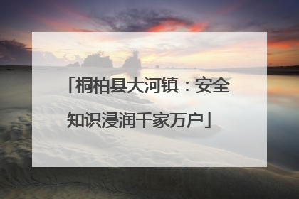 桐柏县大河镇：安全知识浸润千家万户