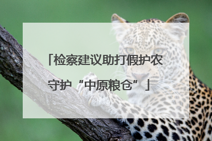 检察建议助打假护农守护“中原粮仓”