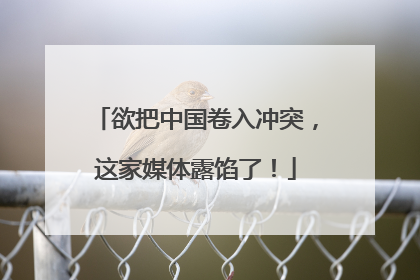欲把中国卷入冲突，这家媒体露馅了！