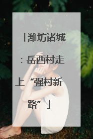 潍坊诸城：岳西村走上“强村新路”